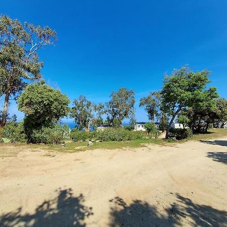 Calvi Mobil-Home Neuf Particulier Sur Camping ลูมิโอ ภายนอก รูปภาพ